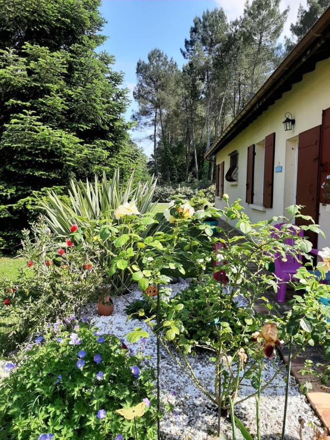 L'Orée des Landes Villa Pinderes Esterno foto