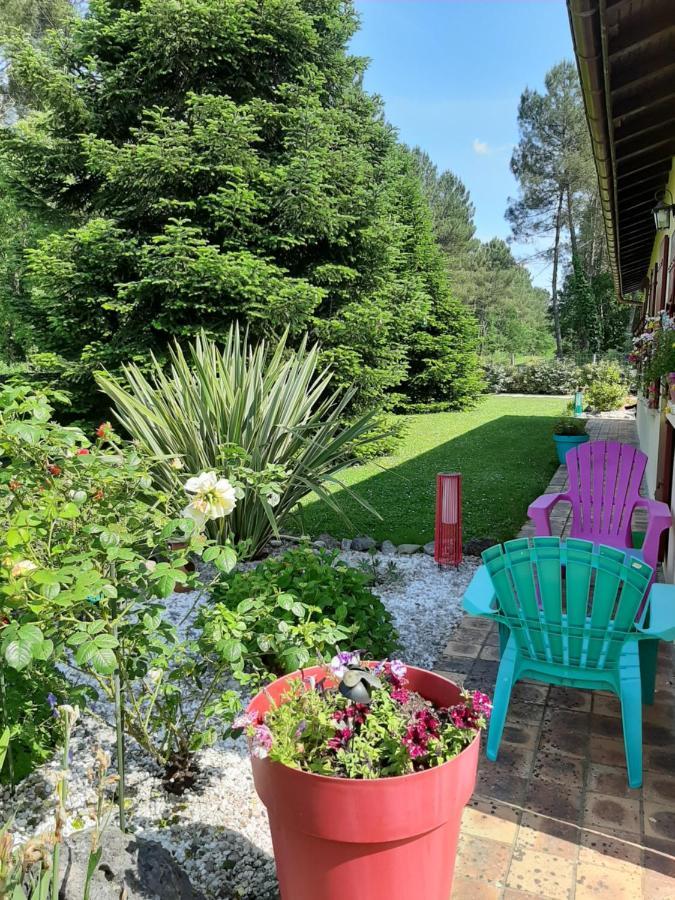 L'Orée des Landes Villa Pinderes Esterno foto