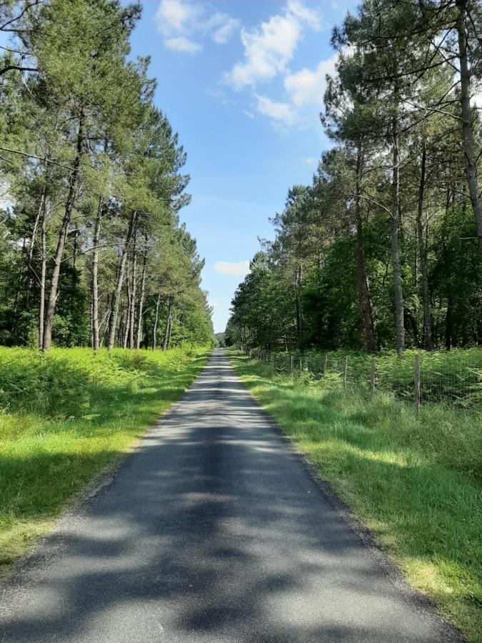 L'Orée des Landes Villa Pinderes Esterno foto