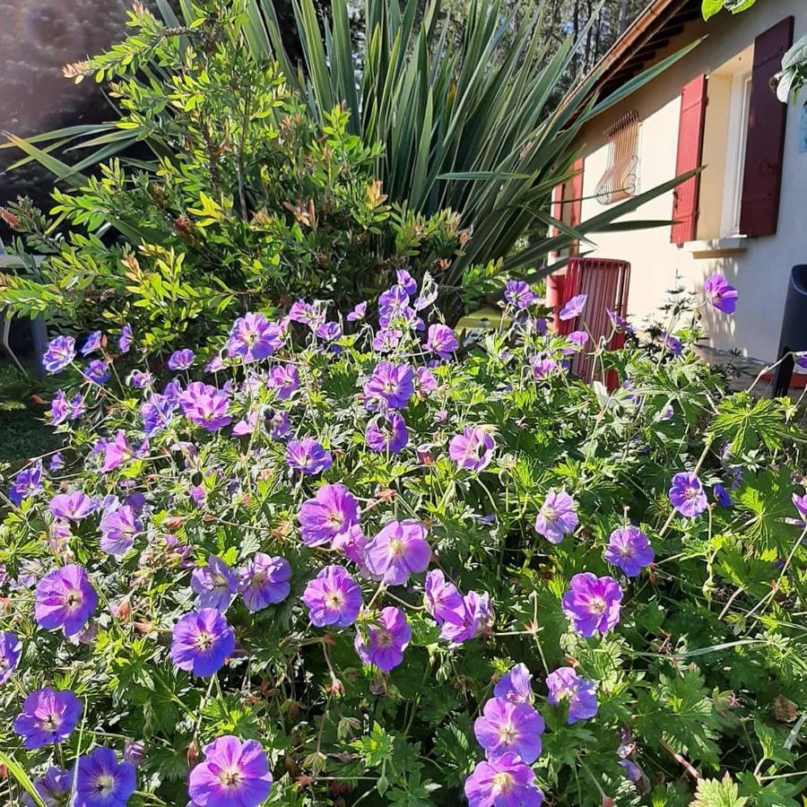 L'Orée des Landes Villa Pinderes Esterno foto