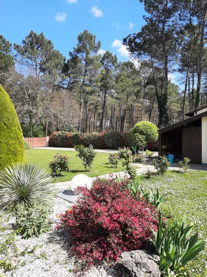 L'Orée des Landes Villa Pinderes Esterno foto