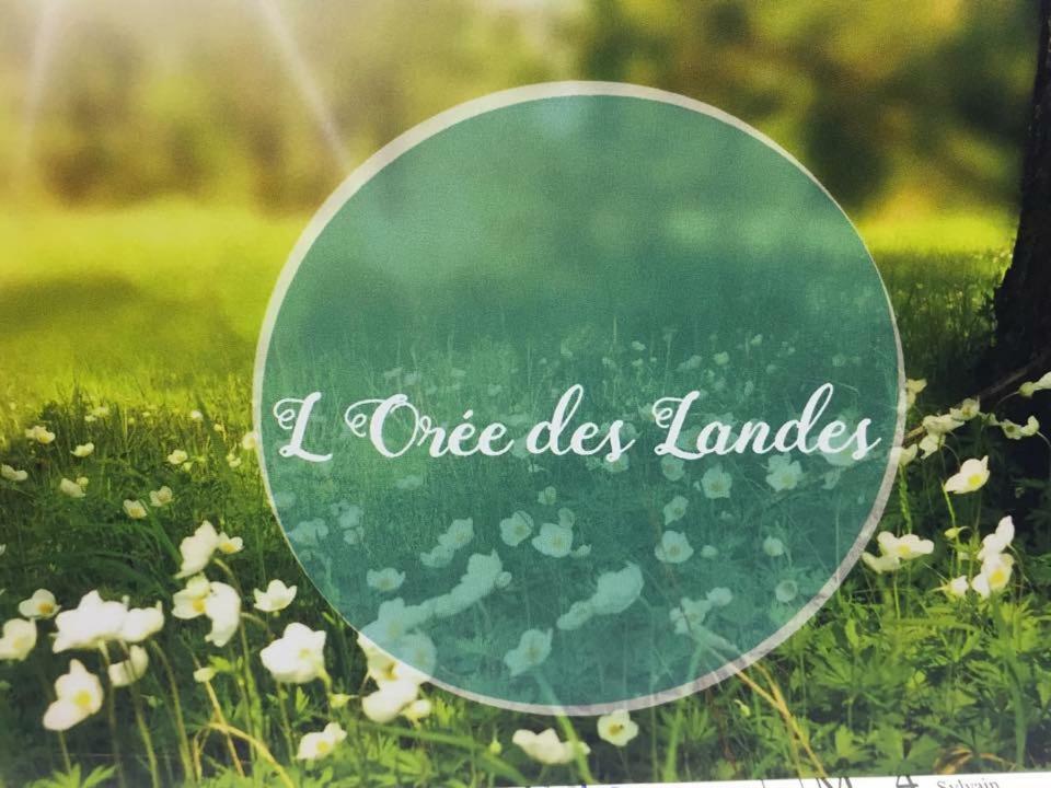 L'Orée des Landes Villa Pinderes Esterno foto