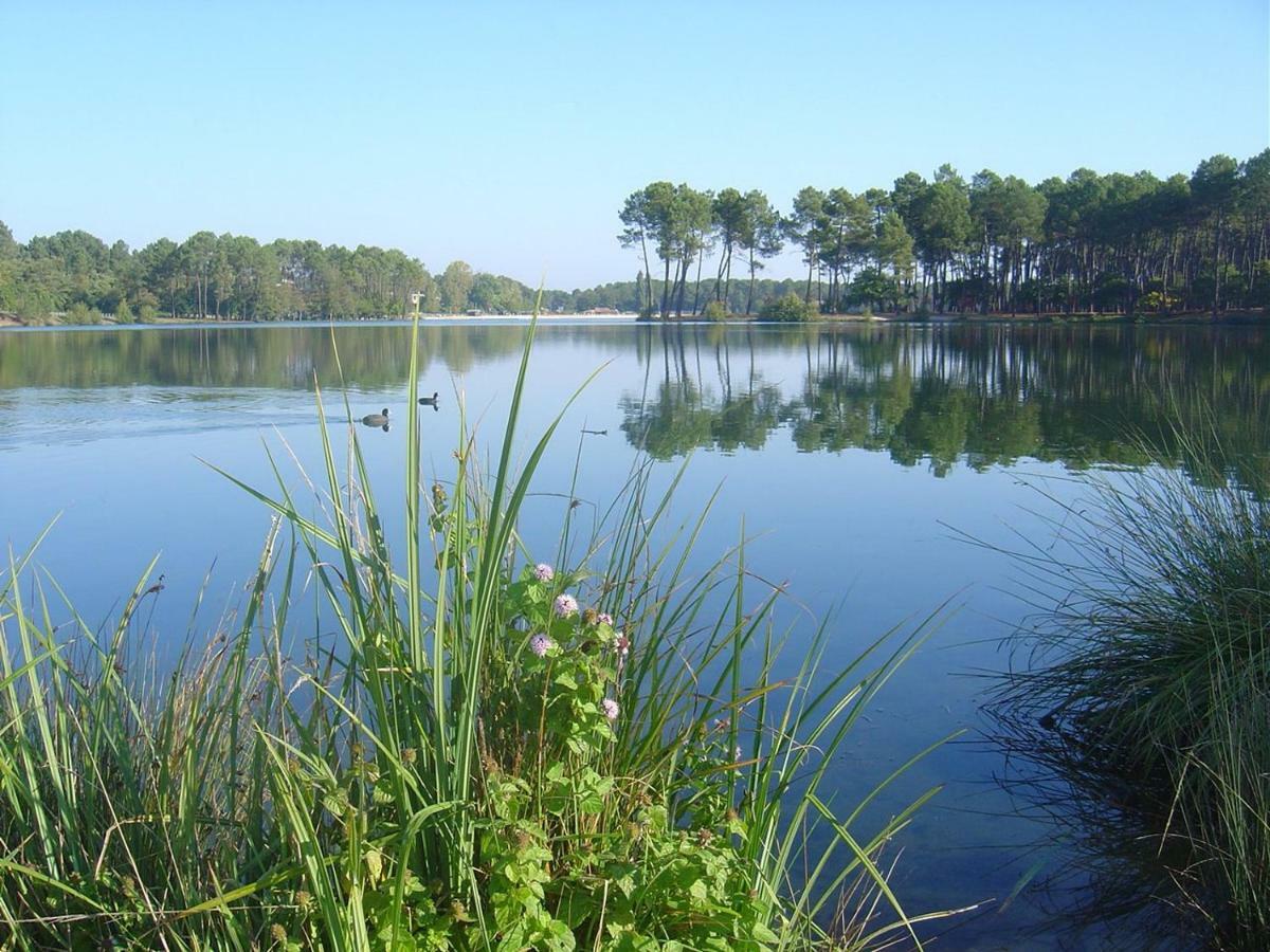 L'Orée des Landes Villa Pinderes Esterno foto